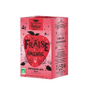 INFUSION FRAISE GINGEMBRE BIO - lot 20780432621